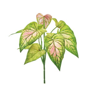 [JW[ubVsN^O[A[eBtBVt[ԃgsJ[t[TDLFG002952]ytFCNO[ElHϗtAECeAt[ fBXvC CeA