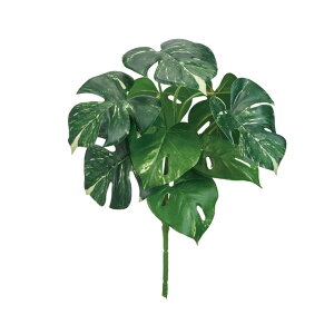 胂XeubVzCgO[A[eBtBVt[ԃXe[TDLFG002953]ytFCNO[ElHϗtAECeAt[ fBXvC CeAO[