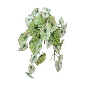 CJW[~joCO[A[eBtBVt[ԃgsJ[t[TDLFG002954]ytFCNO[ElHϗtAECeAt[ fBXvC CeAO