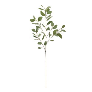 [JVo[iO[O[A[eBtBVt[ԃ[J[TDLFG002955]ytFCNO[ElHϗtAECeAt[ fBXvC CeAO[ z