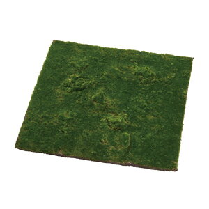 X}bgXNGA50O[A[eBtBVt[ԃXۃfBXvC}bgV[g[TDLFG002516]ytFCNO[ElHϗtAECeAt[ fBXvC Ce