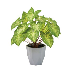 VSj[~j|bgO[A[eBtBVt[ԃCeAO[ϗtA~jϗttFCNO[[TDLFZ009196]ylHϗtAECeAt[ t[Mtg 