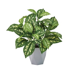 sAJfBGC~j|bgO[A[eBtBVt[ԃCeAO[ϗtA~jϗttFCNO[[TDLFZ009198]ylHϗtAECeAt[ t[M