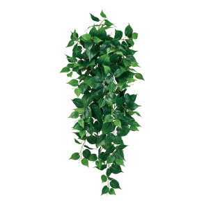 tBfhoCLO[A[eBtBVt[ԃgsJ[t[TDLFG004009]ytFCNO[ElHϗtAECeAt[ fBXvC CeAO[ 