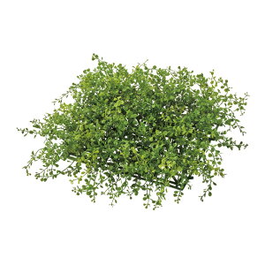 GNXeAxr[[t}bgO[A[eBtBVt[ԃEH[^[v[tHOgp}bgfBXvC[TDLFG001810]yt[Mtg  fBXvC tFC