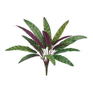 s[RbNJeAubVbh^O[A[eBtBVt[ԃgsJ[t[TDLFG008945]ytFCNO[ElHϗtAECeAt[ fBXvC Ce