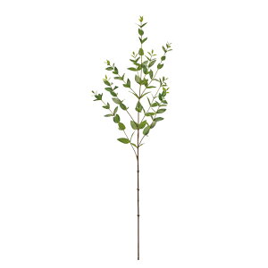 [JAt@Vo[O[A[eBtBVt[ԃ[J[TDLFG001832]yt[Mtg  fBXvC tFCNO[ lHϗtA K[fpi z