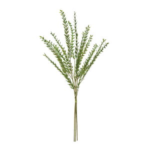 [JChu`O[1A[eBtBVt[ԃ~j[t[TDLFG000364]yt[Mtg  fBXvC tFCNO[ lHϗtA K[fpi z