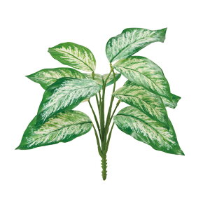 GNXeAAOIl}ubVO[^N[A[eBtBVt[ԃEH[^[v[tHOgpfBXvCgsJ[t[TDLFG003705-023]ytFCNO[