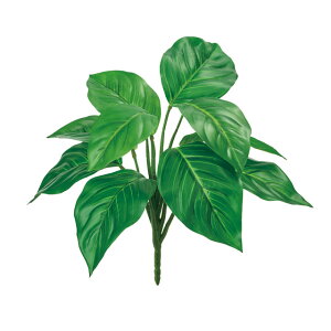 GNXeAAOIl}ubVO[A[eBtBVt[ԃEH[^[v[tHOgpfBXvCgsJ[t[TDLFG003705-024]ytFCNO[ElHϗt