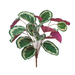 GNXeAJeAubVO[^N[A[eBtBVt[ԃEH[^[v[tHOgpfBXvCgsJ[t[TDLFG000132]yt[Mtg  