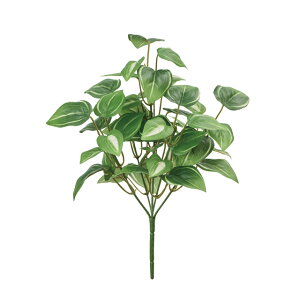 ~j_OW[ubVO[^N[A[eBtBVt[ԃgsJ[t[TDLFG001219-022]yt[Mtg  fBXvC tFCNO[ lHϗtA