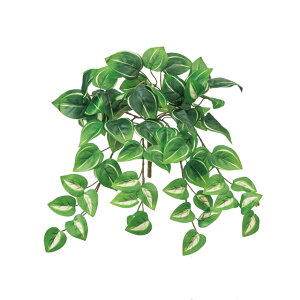 ~j_OW[oCN[^O[A[eBtBVt[ԃgsJ[t[TDLFG001232-022]yt[Mtg  fBXvC tFCNO[ lHϗtA 