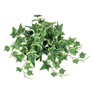 RACr[ubVO[^N[A[eBtBVt[ԓRRɂO[fBXvCACr[[TDLFG612500]ylHϗtAECeAt[ tFCN