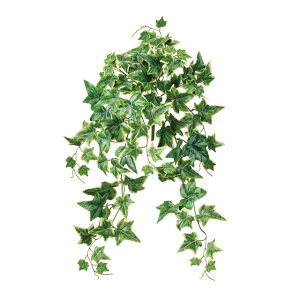 RACr[oCO[^N[A[eBtBVt[ԓRRɂO[fBXvCACr[[TDLFG612501]ylHϗtAECeAt[ tFCNO