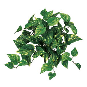 R|gXubVO[^CG[A[eBtBVt[ԓRRɂO[fBXvC|gX[TDLFG612503]ylHϗtAECeAt[ tFCNO