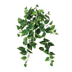 R|gXoCO[^CG[A[eBtBVt[ԓRRɂO[fBXvC|gX[TDLFG612504]ylHϗtAECeAt[ tFCNO[