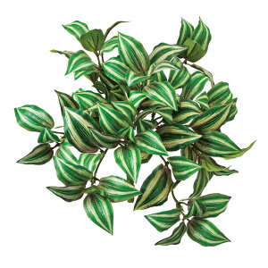 R[uiubVO[p[vA[eBtBVt[ԓRRɂO[fBXvCgsJ[t[TDLFG612509]ylHϗtAECeAt[ tFCN