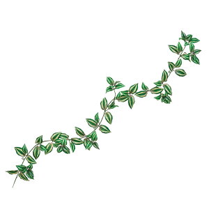 R[uiK[hO[p[vA[eBtBVt[ԓRRɂO[fBXvCgsJ[t[TDLFG612511]ylHϗtAECeAt[ tFC