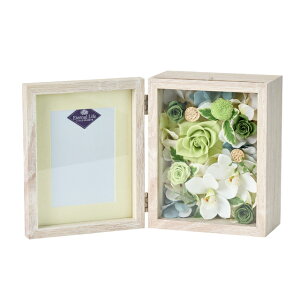 ˁi߂jAWgt[lAWԂ݂̉ԃvU[uht[[TDLZY003000]y t[Mtg A[gt[ CeAt[ AWgt[ fBX