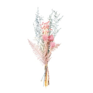 hCt[u[PpbNs[`\[_hCt[gsJJ[CeAMtg[TDLFD00B100-009]y t[Mtg A[gt[ CeAt[ AWgt[ 