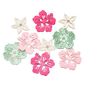 gsJt[p[c~bNX16RfR[VfމԃnCrXJXfR[Vp[cؐ[TDLZE001181]yAWgp[c t[Mtg t[f CeAt[ 