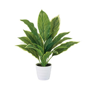 n~j|bgO[A[eBtBVt[ԃCeAO[ϗtAtFCNO[[TDLFZ009176]ylHϗtAECeAt[ t[Mtg fBXvC C