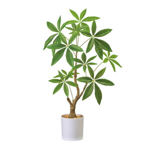 pL~jzCg|bgO[A[eBtBVt[ԃCeAO[ϗtAtFCNO[[TDLFZ001239]ylHϗtAECeAt[ t[Mtg fBXv