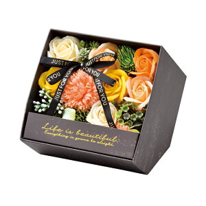 AeB[NV{X^hBOXIWAWg\[vt[MtgAW[TDLGKGM4672]yCeAt[ AWgt[ t[Mtg fUC BOX z