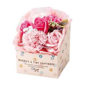 ~ju[P nslX{bNX sN [TDLGKGM4785] \[vt[ \[vu[P t[u[P t[AWg MtgAW CeAt[ t[Mtg ԑ {bNX