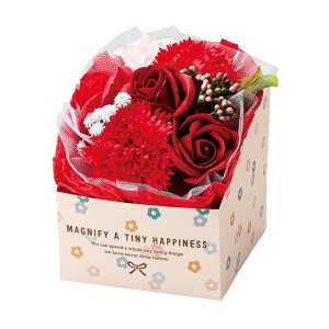 ~ju[P nslX{bNX bh [TDLGKGM4786] \[vt[ \[vu[P t[u[P t[AWg MtgAW CeAt[ t[Mtg ԑ {bNX