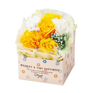 ~ju[PnslX{bNXCG[AWg\[vt[MtgAW[TDLGKGM4787]yCeAt[ AWgt[ t[Mtg fUC BOX z