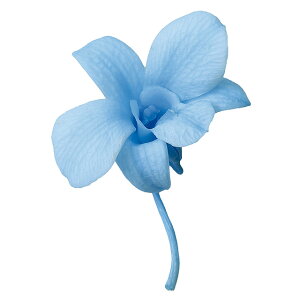 ft@xr[u[8֓vU[uht[ft@[TDLDO002390-621]y t[Mtg A[gt[ CeAt[ AWgt[ fBXvC VRf z