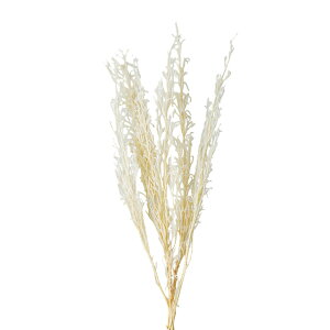 O^`JYItzCghCt[TV[TDLDO001620-011]y t[Mtg A[gt[ CeAt[ AWgt[ fBXvC z