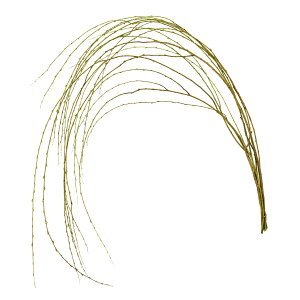 EvU[uhO[vU[uht[}[TDLDO003280-701]y t[Mtg A[gt[ CeAt[ AWgt[ fBXvC VRf z