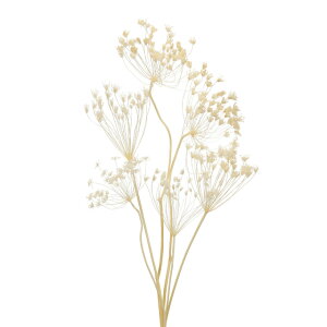 [Xt[ItzCgvU[uht[[TDLDO000310-011]y t[Mtg A[gt[ CeAt[ AWgt[ fBXvC VRf z