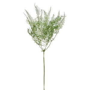 V[X^[t@[EvU[uhO[vU[uht[[t[TDLDO003851-700]y t[Mtg A[gt[ CeAt[ AWgt[ fBXvC VR