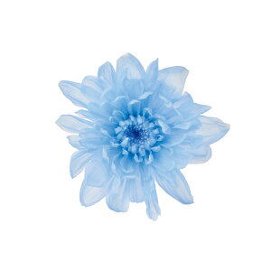 Ƃˋeu[6֓vU[uht[}e[TDLDO004790-600]y t[Mtg A[gt[ CeAt[ AWgt[ fBXvC VRf z