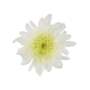 ƂˋezCgO[6֓vU[uht[}e[TDLDO004790-703]y t[Mtg A[gt[ CeAt[ AWgt[ fBXvC VRf z