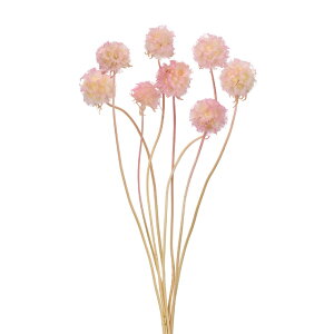 XeN[QzCgsNvU[uht[[TDLDO036100-103]y t[Mtg A[gt[ CeAt[ AWgt[ fBXvC VRf z