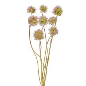 XeN[QO[p[vvU[uht[[TDLDO036100-742]y t[Mtg A[gt[ CeAt[ AWgt[ fBXvC VRf z