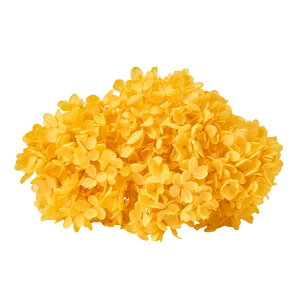 s~bhAWTCEwbh~UCG[2֓vU[uht[AWTC[TDLDO001510-521]y t[Mtg A[gt[ CeAt[ AWgt[ fBXv