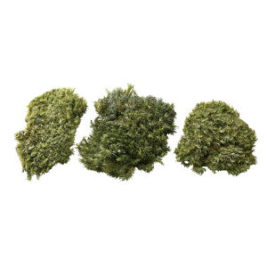 u[hXO[vU[uht[X[TDLDO061020-700]y t[Mtg A[gt[ CeAt[ AWgt[ fBXvC VRf z