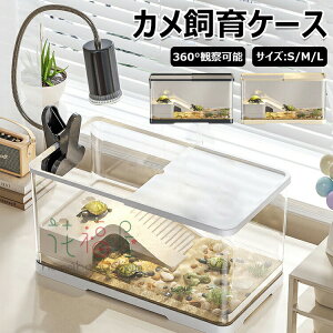 ���i�摜