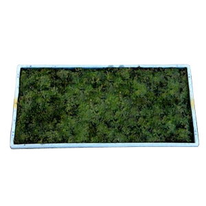 XiSP () }bg 58cm×28cm 1@Pi
