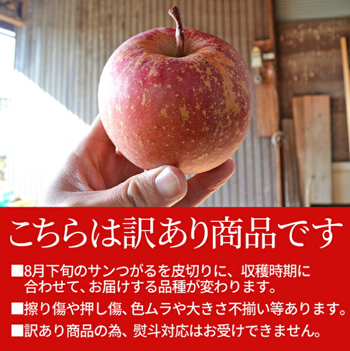 2022モデル りんご 訳あり ５ｋｇ サンふじ 早生ふじ サンつがる 山形県産 <br> 産地直送りんご お徳用林檎 ジャムにもＯＫなりんご りんごジュースにもＯＫ  家庭用りんご フルーツ 送料無料 健康 食べ物 果物 アップル あす楽