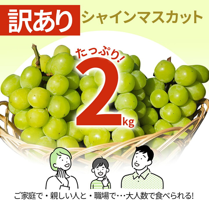 楽天市場】【スーパーSALE10%OFF！】【2025年9月下旬発送・先行予約 