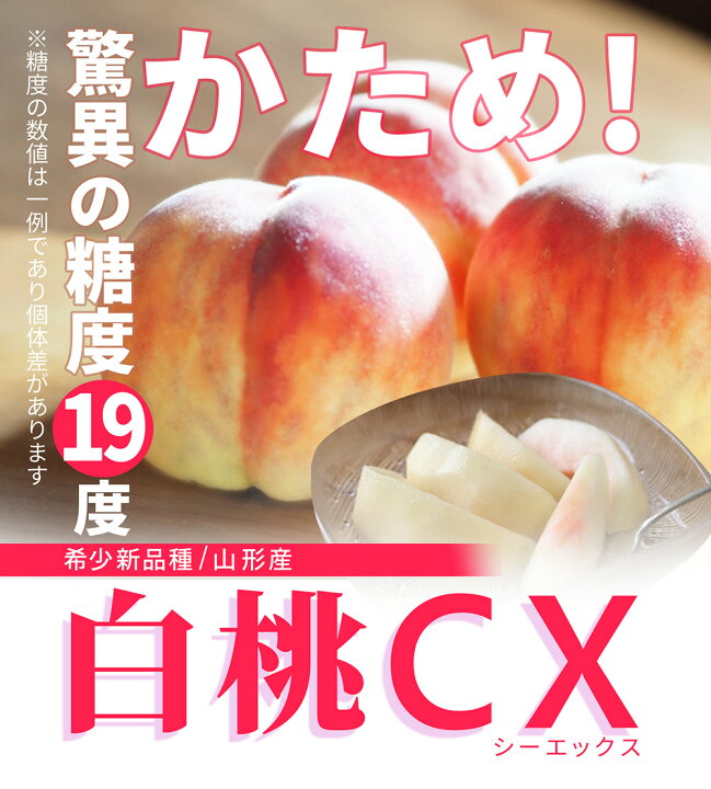 楽天市場】【2025年9月下旬発送・先行早割】 硬い桃 白桃 秀品 白桃CX 