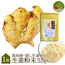 ＼TVで話題！即日発送中！／ 生姜粉末 国産 （高知県産） 55g 送料無料 無添加 無着色 ジッパー付袋 生姜パウダー 国…