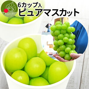 y10{Es\z_A͂!^ VC}XJbg sA}XJbg 6Jbv  R`Y Ԃǂ MtguhE 蕨v[gɂ a